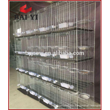 Hebei Steel Pigeons Cages / Racing Pigeon Cage